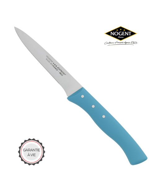 Couteau à barbecue pour découper vos plats et grillades grâce à Nogent***