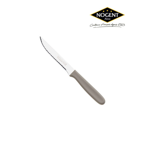 Couteau à steak couleur en plastique polypropylène de couleur grise Nogent***