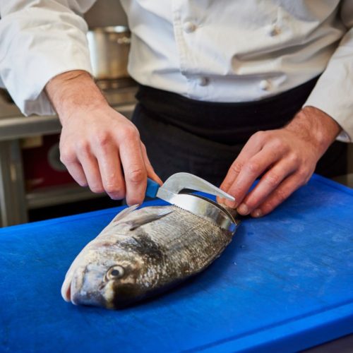 écailleur-professionnel-à-poisson-nogent-3-étoiles-manche-polypro-bleu