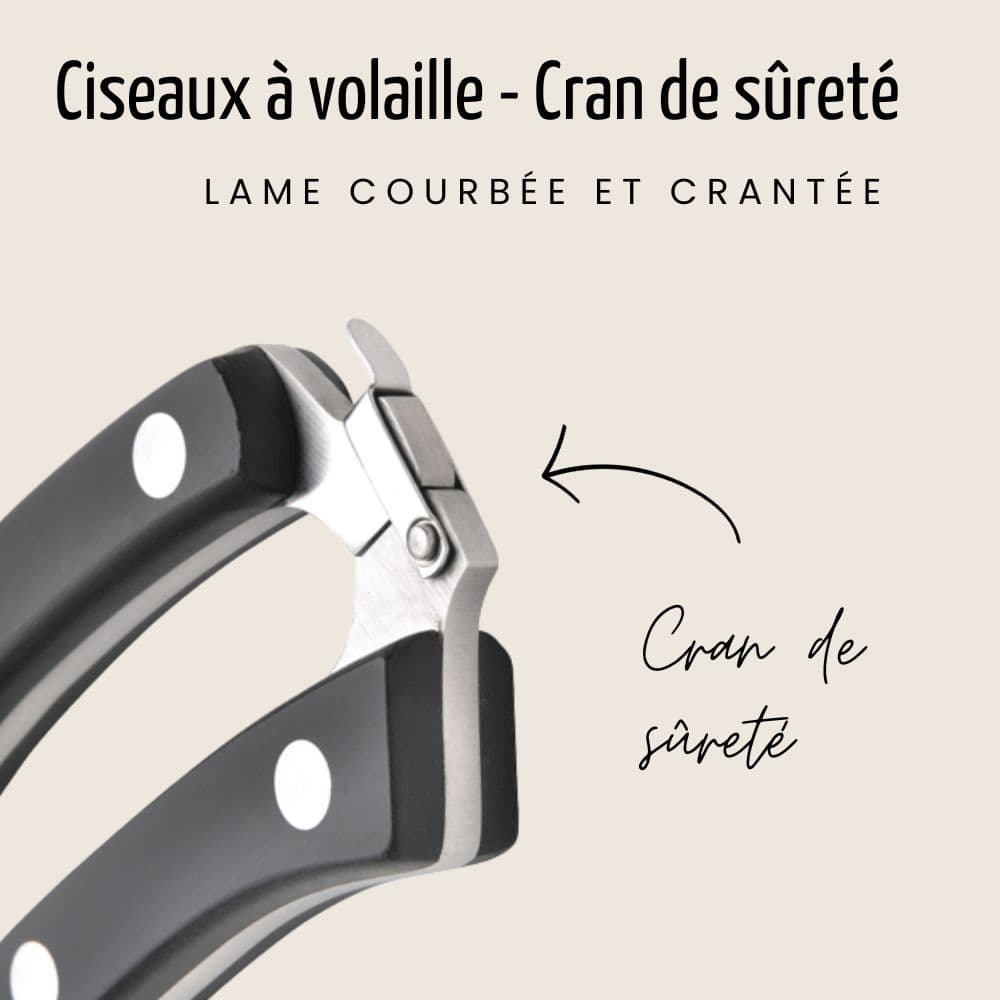 Ciseaux à volaille - Lame crantée et courbée | Pratik