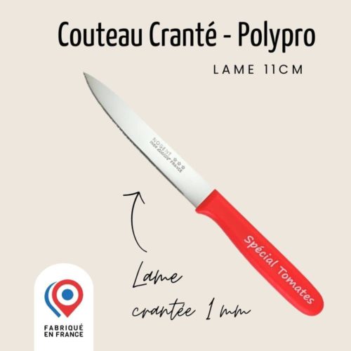 Couteau à Fromage Français Professionnel, lame 17 cm. ⚔️ Boutique