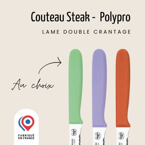 couteau-a-steak-manche-polypro-pastel-nogent