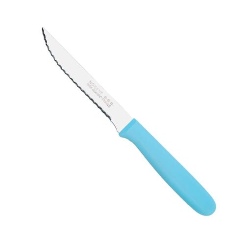 Couteau Steak – Lame 11 cm – Azur | Classic Polypro