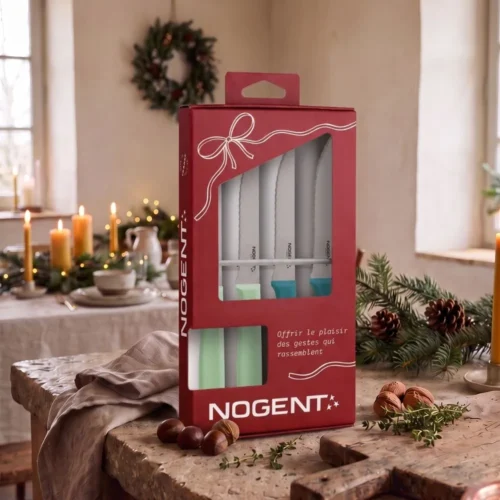 Coffret couteaux steak polypropylène Nogent*** avec 4 couteaux Céladon et Bleu canard présenté dans une ambiance de Noël.